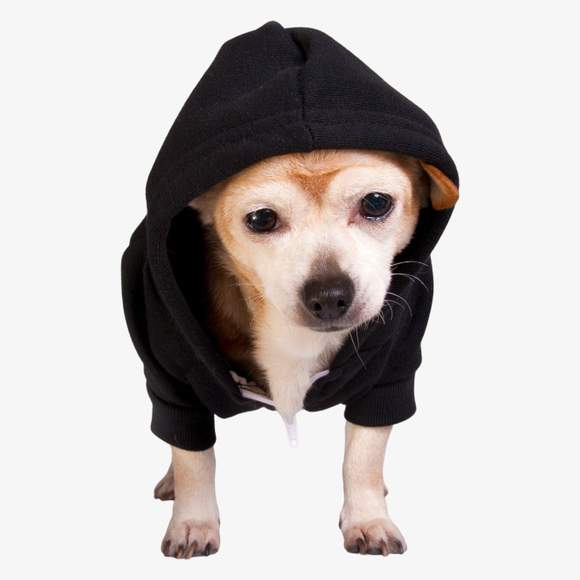 Flex fleece dog zip hoodie  American apparel