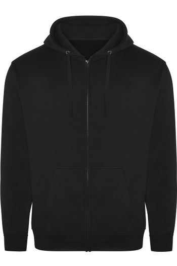 Image produit Sweat à capuche zippé Pro