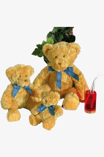 Image produit BRACKEN BEAR