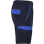 Roly WRK Tahoe marine/bleu_royal