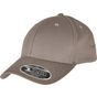 flexfit 110 Curved Visor Snapback grey