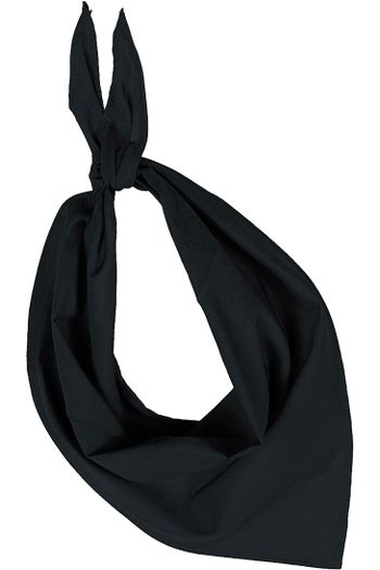 Image produit Fiesta - Bandana