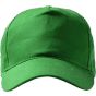 Stamina FIDES vert_fougere