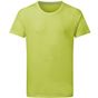 SG Signature Signature Tagless Tee Men lime