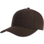 Atlantis FIJI brown