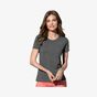Stedman Classic-T Organic Fitted