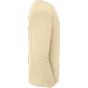 fruit of the loom Iconic 250 Set-In Sweat desert_sand