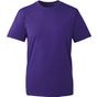 Anthem T-shirt homme Anthem purple