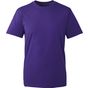 Anthem T-shirt homme Anthem - purple - L