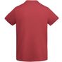 Roly Veza rouge_chrysantheme