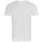 Stedman Finest Cotton-T white
