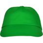 Roly Basica vert_fougere