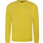 Pro RTX Sweat Pro yellow