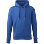 Anthem Sweat à capuche Anthem pour homme royal