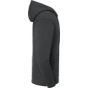 fruit of the loom Iconic Premium Hooded Sweat Jacket light_graphite