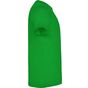 Roly Dogo Premium vert_prairie