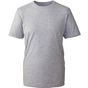 Anthem T-shirt homme Anthem grey_marl