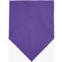 Sol's Bandana violet_fonce
