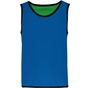 ProAct Chasuble de rugby réversible enfant sporty_royal_blue/green