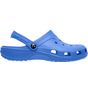 Roly Lyles bleu_lab