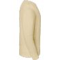 fruit of the loom Iconic Premium Set-In Sweat desert_sand