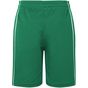 James&Nicholson Basic Team Shorts Junior green/white