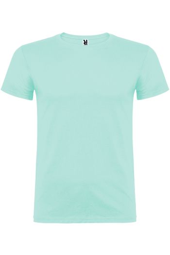 Image produit Beagle