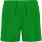 Roly Aqua vert_fougere