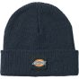 Dickies Bonnet EVADALE navy