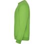 Roly Clasica vert_oasis