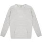 AWDis Ecologie Corcovado Organic Hoodie heather_grey