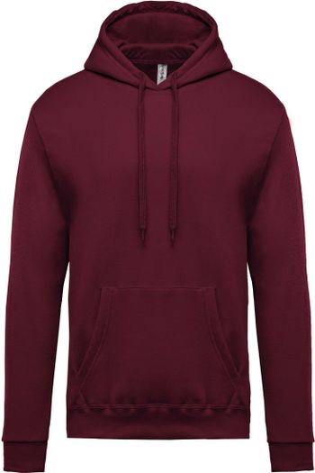 Image produit Sweat-shirt capuche homme 