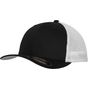 flexfit Mesh Trucker 2-Tone Cap black/white