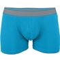 Kariban Boxer tropical_blue