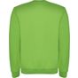 Roly Clasica vert_oasis