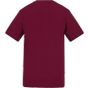 AWDis T AWDIS 180 T burgundy