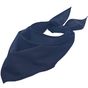Sol's Bandana french_marine