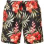 Wombat Short de bain homme black/red