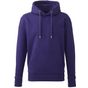 Anthem Sweat à capuche Anthem pour homme purple