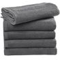 SG Accessories - Towels Ebro Guest Towel 30x50cm steel_grey