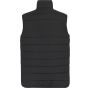 Regatta Men's Essential Thermal Gilet black