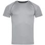 Stedman Active 140 Team Raglan silver_grey
