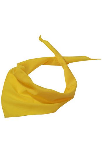 Image produit Triangular Scarf