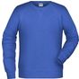 James&Nicholson Men´s Sweat royal_heather