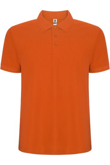 Image produit Pegaso Premium