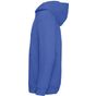 fruit of the loom Premium Hooded Sweat Kids royal_blue