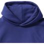 Russell Athletic Kids Hooded Sweatshirt bright_royal