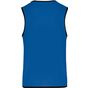 ProAct Chasuble de rugby réversible sporty_royal_blue/green