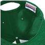 Beechfield Casquette en coton épais gratté Pro-style forest_green