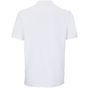 Sol's Pegase blanc